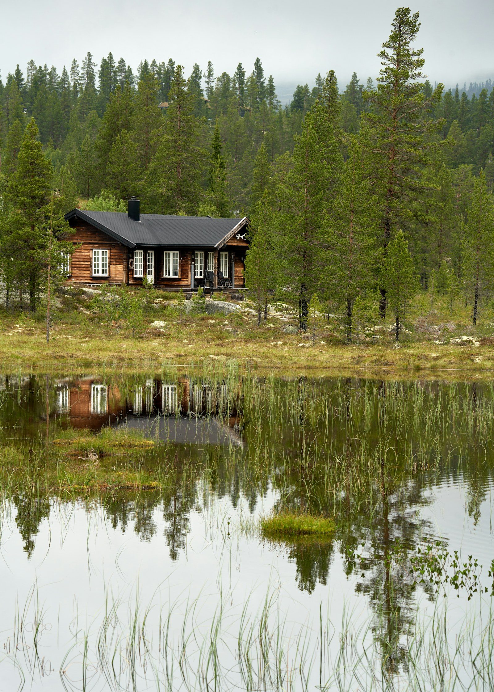 Trehytte ved en innsjø omgitt av skog i Norge. Foto: Barnabas Davoti.
